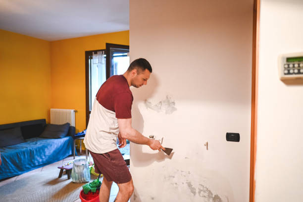 Best Local Mold Removal Service  in Tara Hills, CA